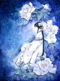 盛寵天下：冷帝狂妃